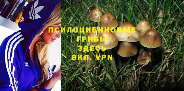 амф Ельня