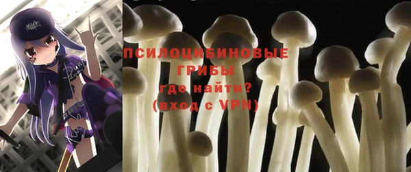 амф Ельня