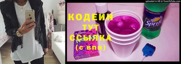 амф Ельня
