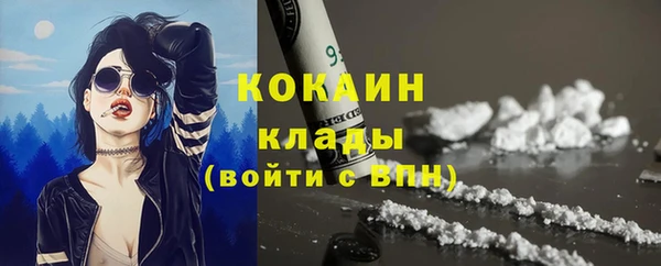 амф Ельня