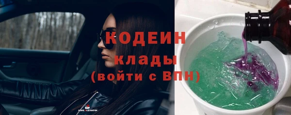 амф Ельня