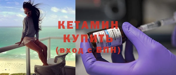 амф Ельня