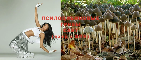 apvp Дмитриев