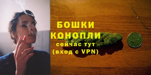 apvp Дмитриев