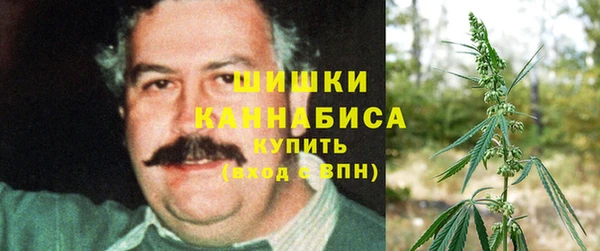 амф Ельня